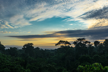 Panoramic view of a sunset in the jungle