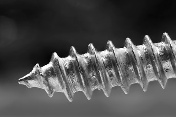 Single self tap screw close up shot
