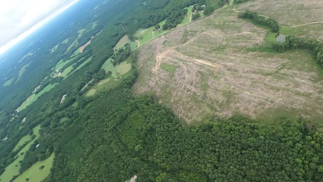 Clear Cutting Timber Operation