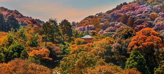 Panoramic view of historic temples in Kyoto, View from Kiyomizudera temple
