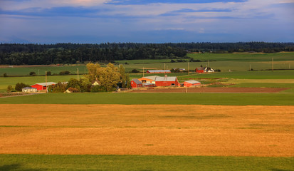 Fototapeta na wymiar Farm view in scenic Whidbey island ,Washington state 