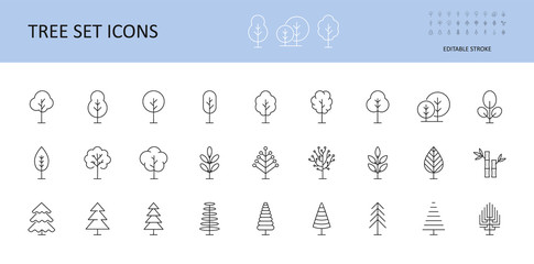 Tree vector set icons. Trees with crown, leaves, spruce, coniferous pine. Bushes linear icon editable stroke.