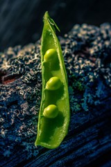 green peas on a black background