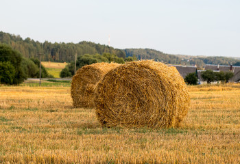 A round haystack, a bale of straw in a field in summer