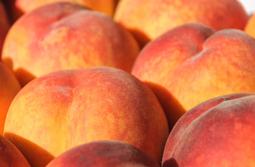 Fresh peaches in the bright rays of the sun.