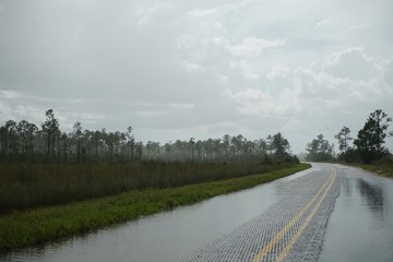 Florida Everglades