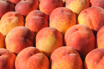 Fresh peaches in the bright rays of the sun.