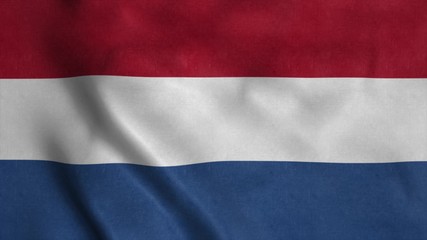 Netherlands flag as background. Holland flag waving in the wind. 3d rendering