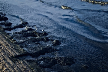 Sea ​​pollution, dirt