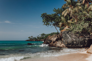 Rocky coral coast of Atlantic ocean with blue water lagoon and palm trees in Samana, Dominican Republic