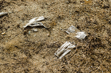 various white disposable masks thrown on the ground