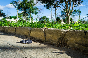 black homemade protection mask thrown on the street near the square curb with plants and trees