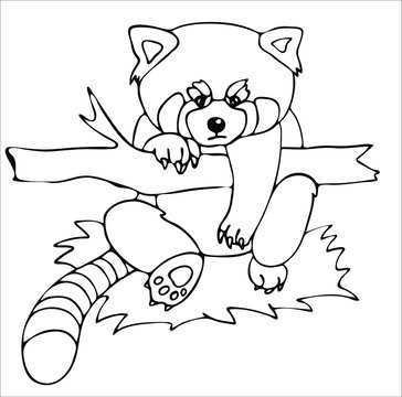 the red Panda is sitting in a tree and is angry.A discontented look. Depart from me.Outline drawing by hand, black and white, linear, isolated on a white background. Coloring