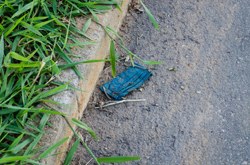 blue disposable mask thrown on the street next to plants making dirt in curb