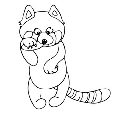 A cute confused red Panda stands on its hind legs and eats, holding a bamboo leaf with its paw .Outline drawing by hand, black and white, linear, isolated on a white background. Coloring