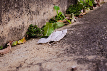 white disposable mask thrown on the street next to plants making dirt