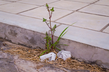 white disposable mask thrown on the street next to plants making dirt