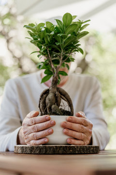 Senior man holding bonsai plant