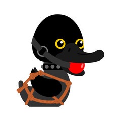 BDSM duck. fetish toy Rubber duck in black suit. vector illustration 