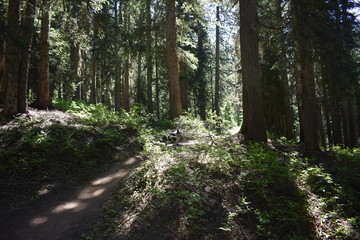 Landscapes of the United States