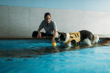 Female physiotherapist assisting Border Collie in swimming pool