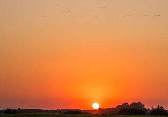 Poland... Lato... Summer...