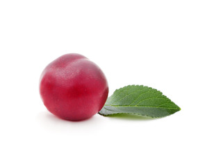 Blue plums with leaves.