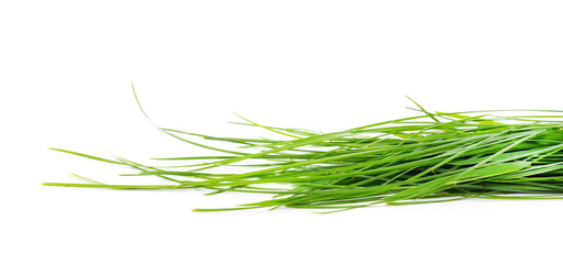 Bunch of green grass.