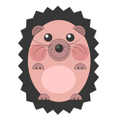 A cute flat hedgehog in the shape of a circle, he lies on his back. Drawing isolated on white background. Stock vector illustration.