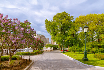 Moscow, Russia - May 25, 2020: View of the Alexander Garden near the walls of the Moscow Kremlin during the COVID-19 pandemic.  Coronavirus outbreak situation