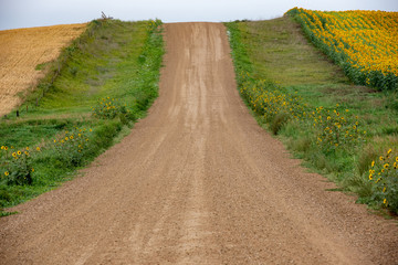 Obraz premium road in the countryside
