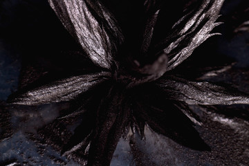 Dark spikes and shadow