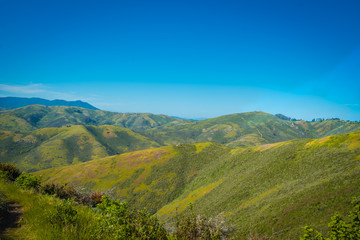 American tradicional landscape and Ocean Pacific