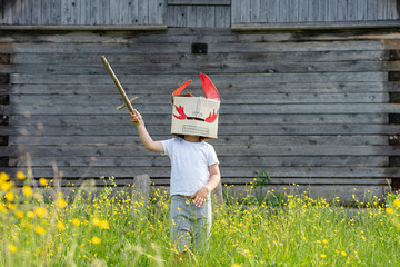 Boy wearing mask holding toy sword while standing amidst plants against cottage