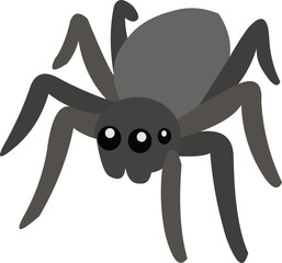 Vector illustration of a spider