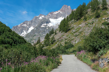 Val Veny - Courmayeur - Valle d'Aosta - Italy