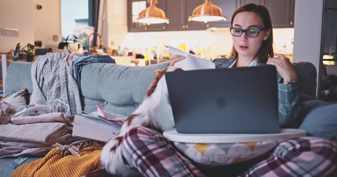 Young Business Woman Working From Home, Dog Interrupts. SLOW MOTION. Conference call on laptop. Female learning online. Puppy playing with work papers. Mess in a room. Entrepreneur Work life balance. 