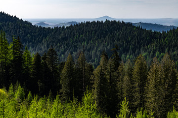 View Moscow Mountain to the Palouse, WA