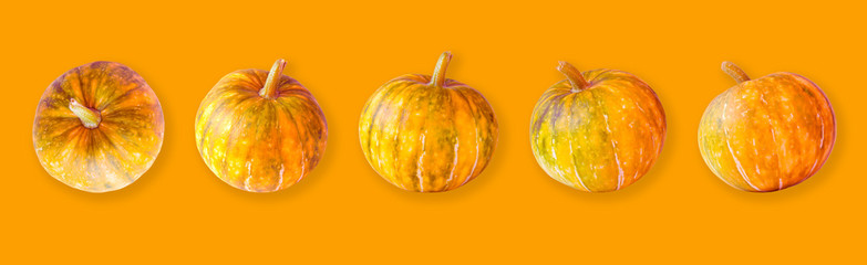 Set of pumpkin on a orange background. Photos from different foreshortening. Autumn