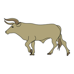 big strong brown bull with horns, farm animal, cattle. Vector illustration with black outline