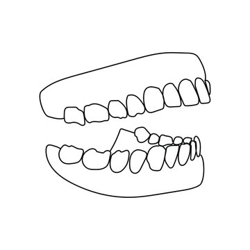 black outline teeth anatomy clip art preview