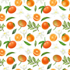 Seamless pattern with hand drawn mandarins and mandarin flowers on a white background