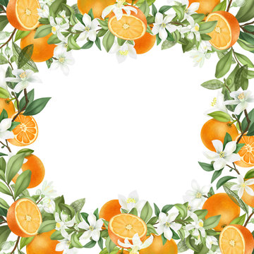 Card template, frame of hand drawn blooming oranges tree branches, flowers and oranges on white background