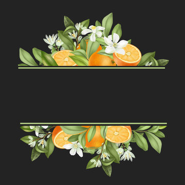 Frame of hand drawn blooming orange tree branches, flowers, oranges on white background