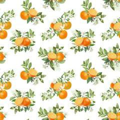 Seamless pattern with hand drawn blooming orange tree branches on a white background