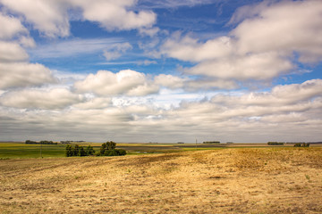 View of Tres Arroyos landscape, Buenos Aires province, Argentina