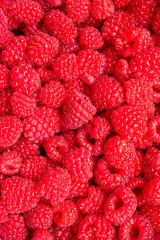 Red ripe fresh raspberries. Harvest background.
