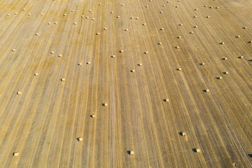 Aerial view of round hay bales on stubble, harvesting time
