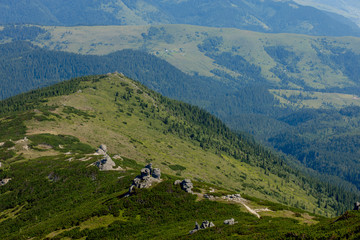 Fototapeta na wymiar Carpathians mountain range at summer morning. Beauty of wild virgin Ukrainian nature. Peacefulness.
