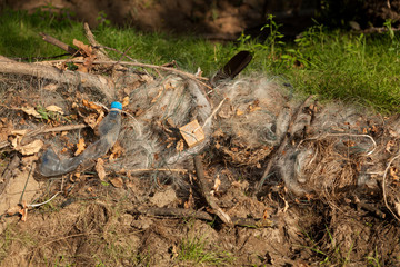 Concept - plastic in the world's oceans. Environmental pollution. A tangled fishing net that is thrown ashore by waves is dangerous for birds and other animals.